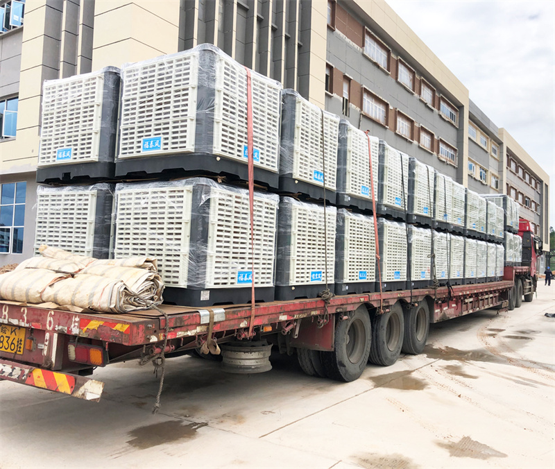 随州工业黄瓜视频在线观看1080P