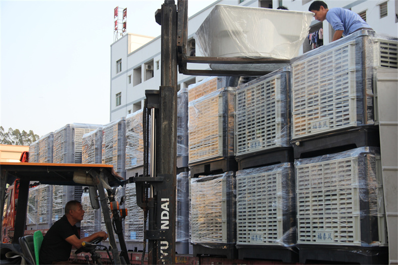 江津大型黄瓜视频在线观看1080PFT-230