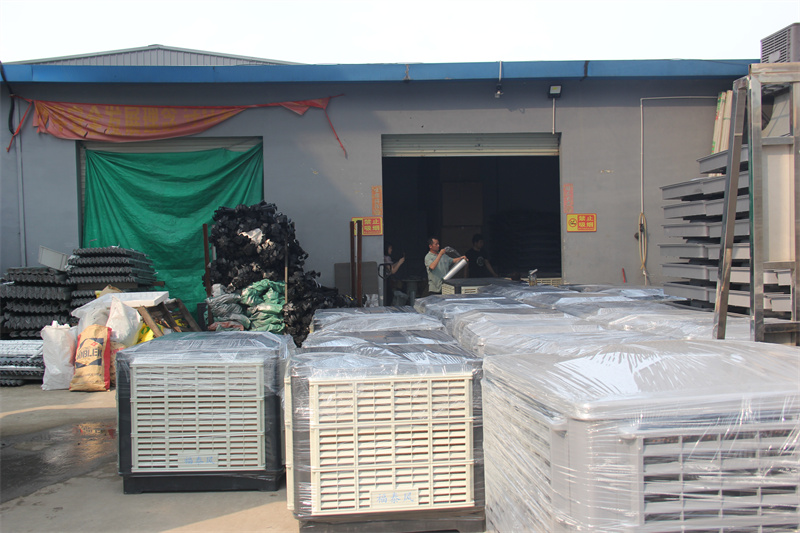 1.1KW移动黄瓜视频在线观看1080P